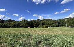 Lot 8c River Ranch, Blaine, TN 37709
