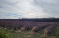 72nd Street Street, Covert, MI 49043