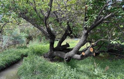 24134 Us Hwy 70, Bent, NM 88314
