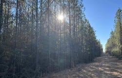 Straw Bridge Rd lot: 58, Jay, FL 32565