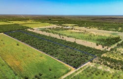 972 Silver Bridge Rd, Quemado, TX 78877