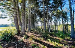 2.07 acres, 2058 Thoroughbred Way unit: G16, Lenoir, NC 28645