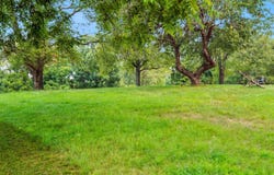 583 Blackberry Drive, Coldwater, MI 49036