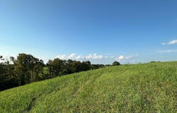 17a Bald Hill, Carlisle, KY 40311