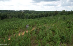 County Road 428, Paris, MS 38949