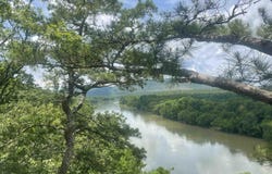48 S Boswell Road, Melbourne, AR 72566