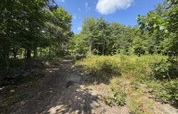 Daisys Way, Kinross, MI 49752