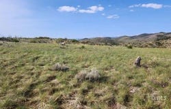 56 Kit Carson Ln, Cotopaxi, CO 81223