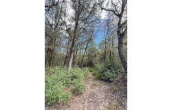 Hanauma, Bastrop, TX 78602
