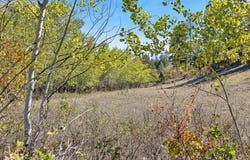 McClain Creek Meadows, Florence, MT 59833
