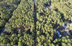 138 HEATHTON Street, Georgetown, FL 32139