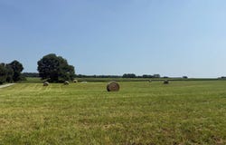 826 Lone Star Rd, Marion, KY 42064
