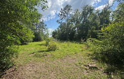 181 Ruby Giddens St, Willacoochee, GA 31650