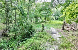 Tbd SW 31ST WAY, WEBSTER, FL 33597