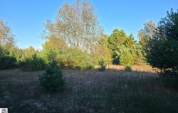 10 VL Betsie River Road, Interlochen, MI 49643
