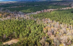 407 County Road 258, Five Points, AL 36862