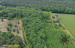 13.17 Acres COLONA ROAD, POCOMOKE CITY, MD 21851