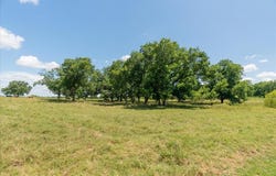 11458 State Highway 171, Covington, TX 76636