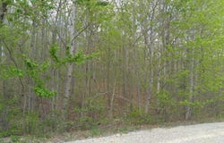 Lot 10 Green Forest Road, Dunlap, TN 37327