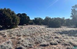 Navajo Way Road, Quemado, NM 87829