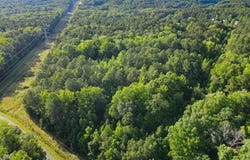 1617 Torredge Road, Durham, NC 27712