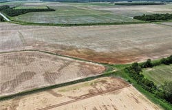 0 Tract 1 County Road W-4, Naylor, MO 63953