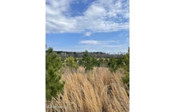 Co Rd 419, Calhoun City, MS 38916