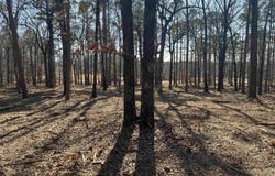 Island Shores, Greers Ferry, AR 72067