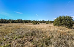 25 Holiday, Tijeras, NM 87059