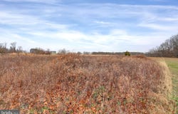 51 PINETREE LOT 31 DRIVE, DUNCANNON, PA 17020