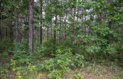 N8275 Woodland Trail, New Lisbon, WI 53950
