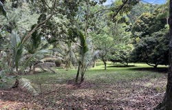 CHIN CHUCK RD, Hakalau, HI 96710