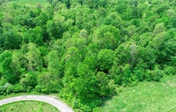 63590 Wintergreen Road, Lore City, OH 43755