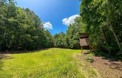 0 Holsombech Swamp Road, Sprott, AL 36756