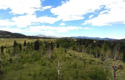 2947 County Road 86, Victor, CO 80860