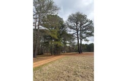 1100 Freeny Rd, Carthage, MS 39051