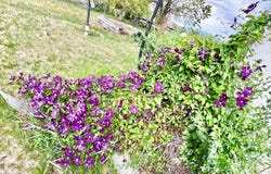 4 Coca Lane, Ranchos de Taos, NM 87557
