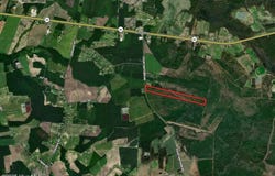 28.6 Acres Fountaintown Road, Beulaville, NC 28518
