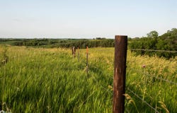 290th St., Soldier, IA 51572