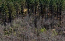 Attala Rd 4213, Sallis, MS 39160