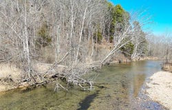 Off Madison 416, Fredericktown, MO 63645