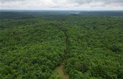 000 CR 226, Greenville, MO 63944