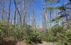11 Larkspur Lane, Cleveland, SC 29635
