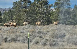 Tbd County Rd 147A, Custer, MT 59024