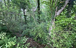 7808 LAURA STREET, LEEDS, AL 35094