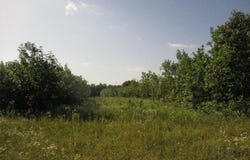 S 4450 rd, Bluejacket, OK 74333