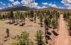 289 Hagin Ln, Fort Garland, CO 81133