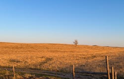 CR 105, Simla, CO 80835