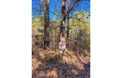 Norsworthy Road, Strong, AR 71765