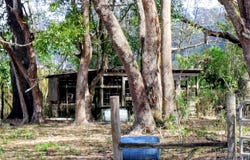 14240 SR 471, WEBSTER, FL 33597
